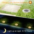 PhilzOps Luces de Tierra Solares Exterior, 6 Pieza 16 LED Luces Solar Jardin IP65 Impermeable Solarenterradas Luz Acero Inoxidable para Terraza Césped Patio Camino Pasarela Suelo, Blanco Cálido Embalaje Deteriorado Online Sale